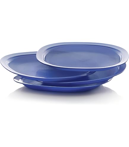 Amazon.com | Tupperware Brand Microwave Reheatable Luncheon Plates